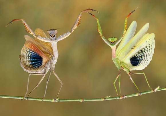 Péntek, yeeeeeeeeee !!!!