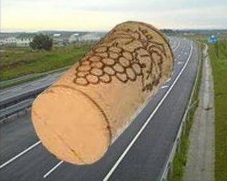 Közlekedési hírek