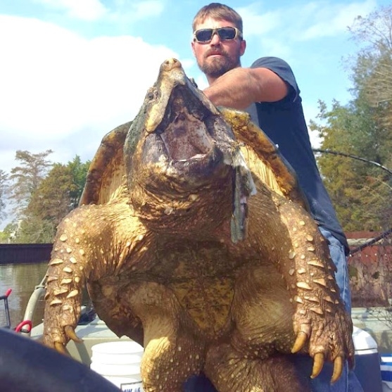 Szép példány 😮