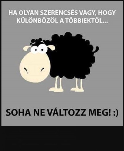 E heti jótanácsunk