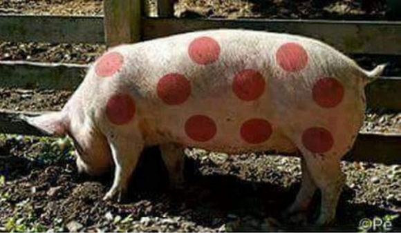 Hétfői zsibbasztó