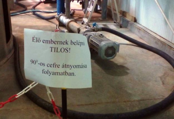 Vasárnapi munkahely...