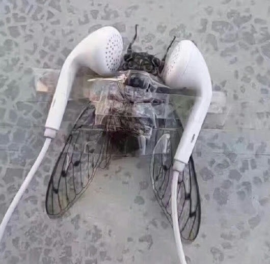 Eljött a bosszú ideje