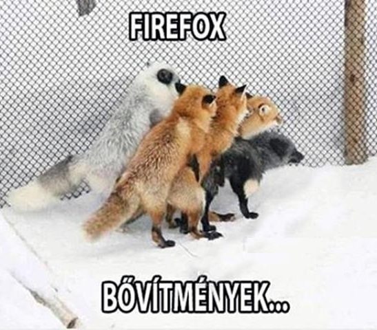 Firefox