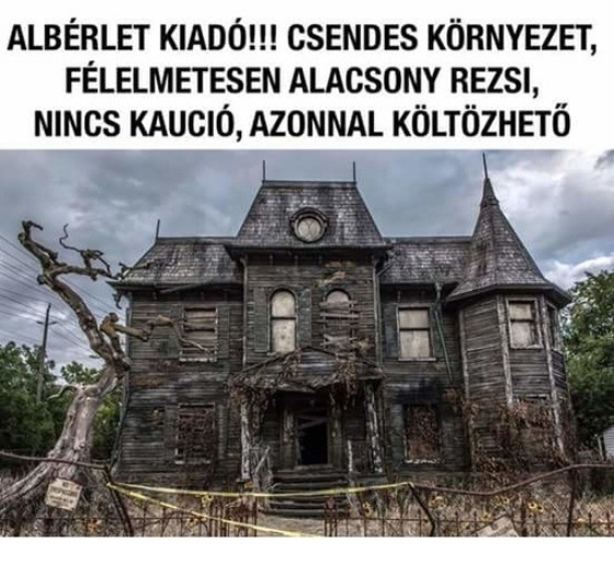 Napiszar ingatlan rovat