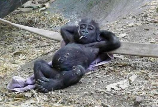 Tervem a hétvégére