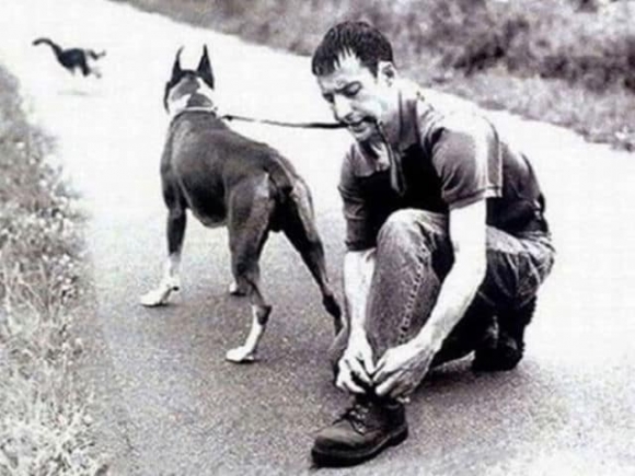 Egy kép a haveromról, 