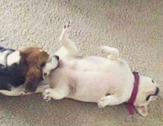 Amikor nincs pénzed ajándékra