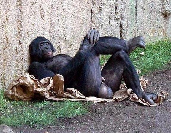 A Halogén miatt majdnem minden ismerősöm kiposztolta a tökét...