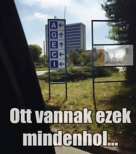Mindenhol van belőlük