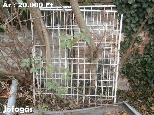 Üdv a szerkesztőknek!