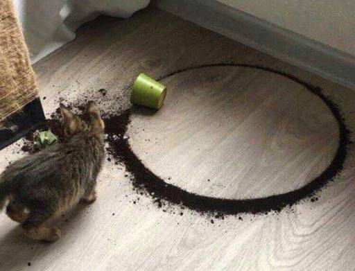 Mirca film ajánlata estére - A kör