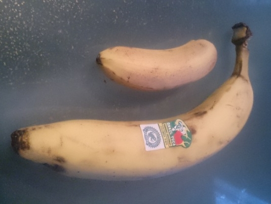 Érdeklődik a gyerek...