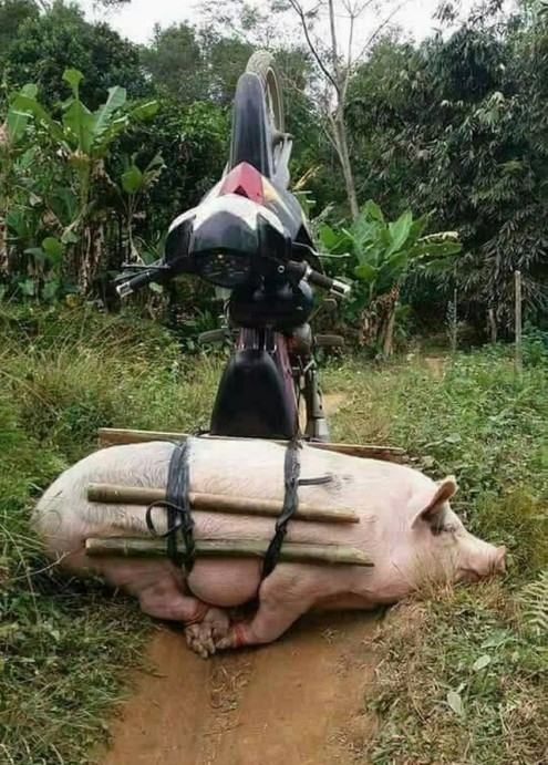 Ma egy kis problémája akadt a szállítónak