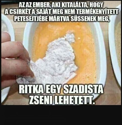 Napi igazságosztó