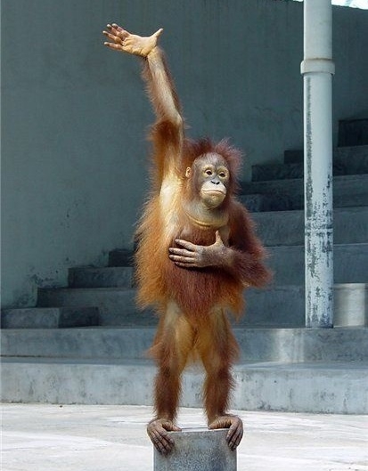 Tegye fel a kezét, aki...