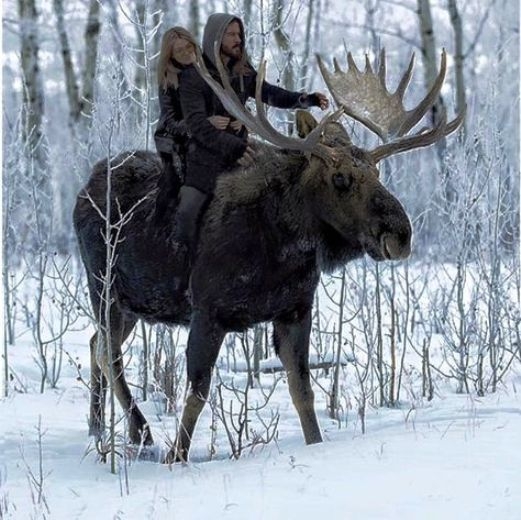 Uber - Kanadában is hódít