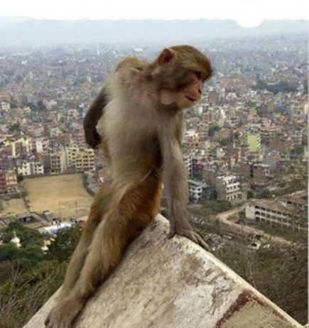 Amikor valaki modellnek képzeli magát