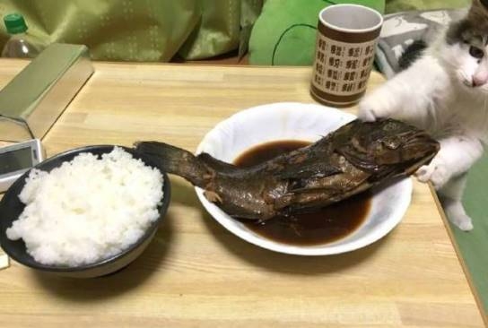 Gyere tesó, meg ne fulladj nekem!