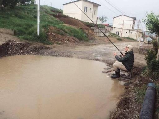 Napi definíció - optimizmus