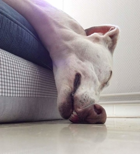 Hétfő reggel, 5:30