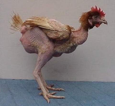 Állítólag rászálltak szegényre az adóhatóság emberei