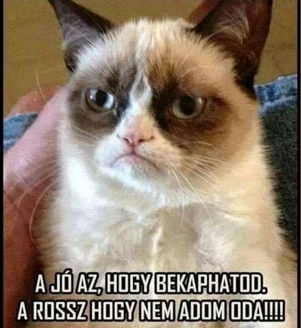 Van egy jó, meg egy rossz hírem...