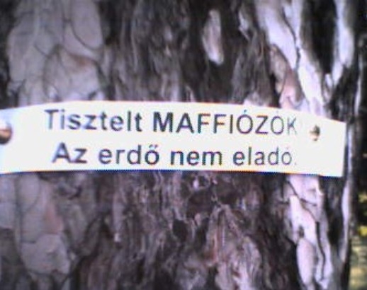 Pedig kereslet lenne rá