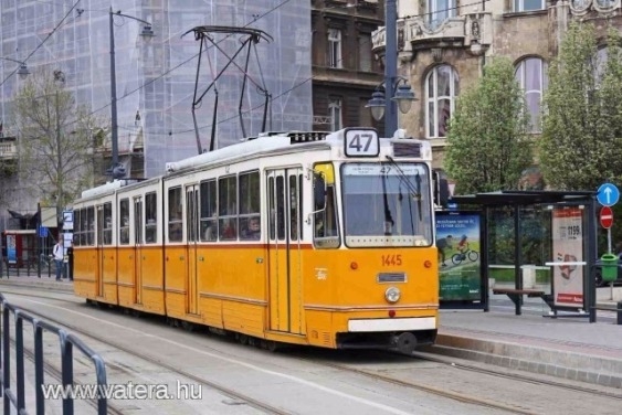 Eközben tavaly a Vaterán...