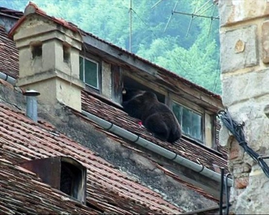 A postás mindig kétszer csenget...