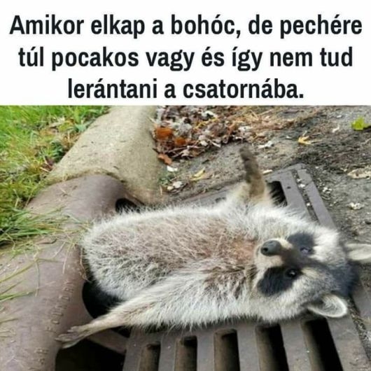 Tudtam, hogy egyszer még jól jön