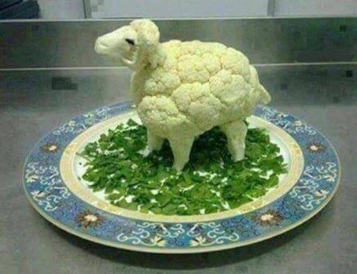 Ma áthívtam ebédelni, egy vega haveromat...