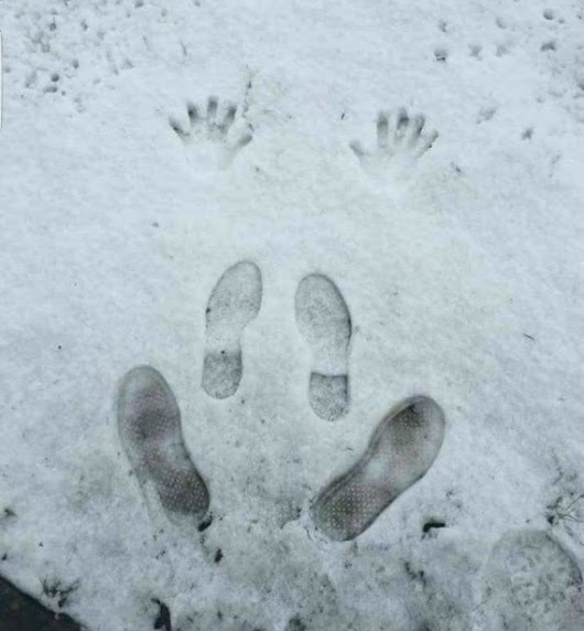 Turu-turu, csak háturu