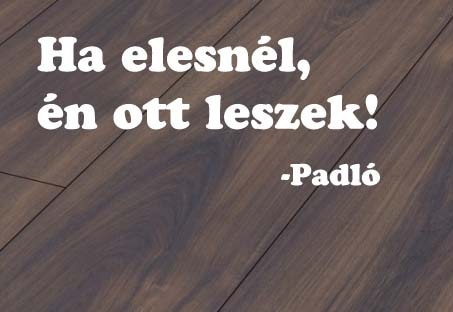 Mindig számíthatsz rá!