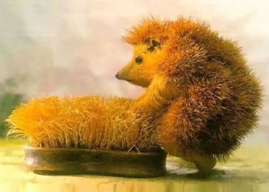 A szerelem vak, szokták mondani...