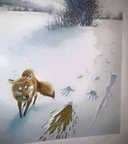 Amikor két róka találkozik