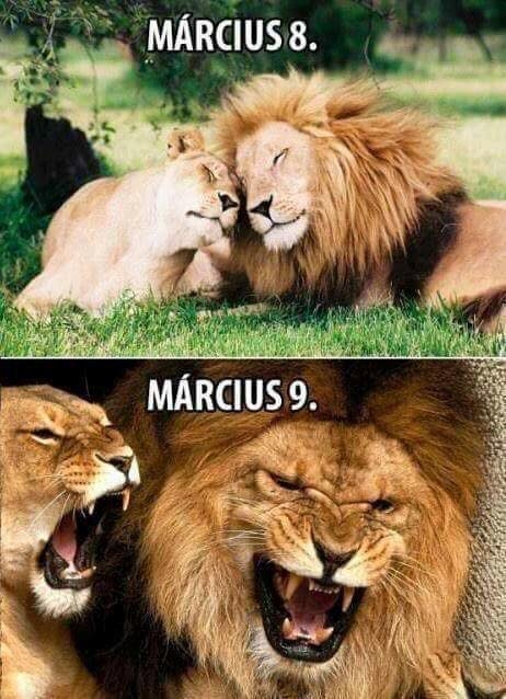 A legtöbb helyen így megy ez...