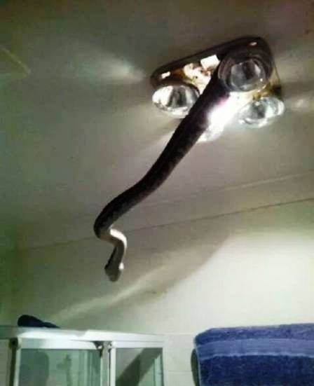 Valahol Ausztráliában