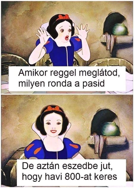 Anyagias világban élünk