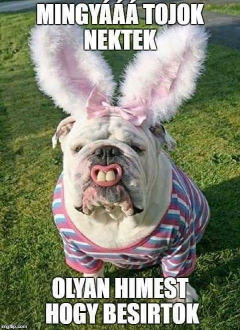 Nyakunkon a húsvét