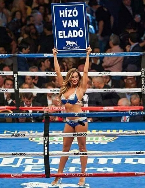 Mindig jól jön, egy kis ingyen reklám