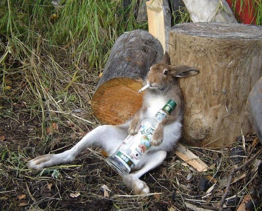 Egy hétfő esti kép