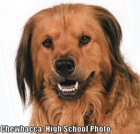 Egy középsulis fotó