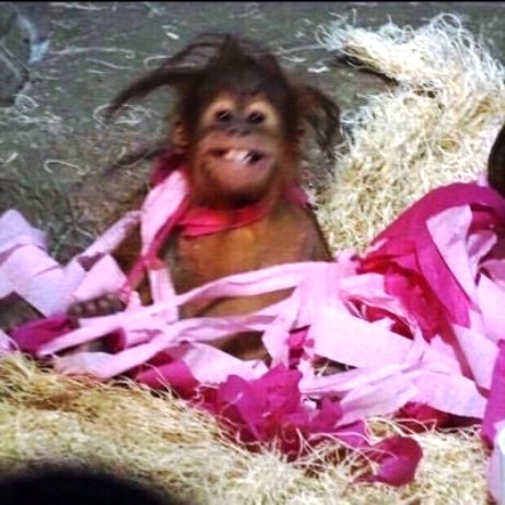 Amikor nála alszol, és azt mondja reggel :