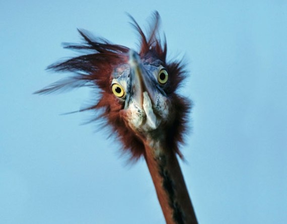 Látom kipihent vagy és szép