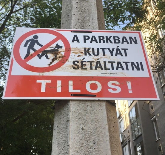 Napi kutyapiszok - Debrecen