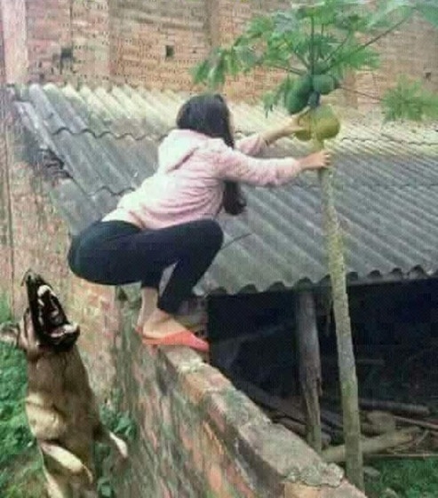 More, ebbű baj lesz