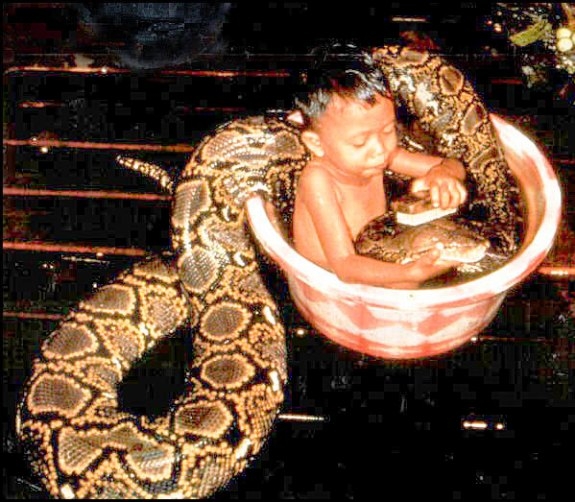 Eközben Thaiföldön