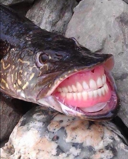 Hétvégén a nagyapámmal voltam horgászni