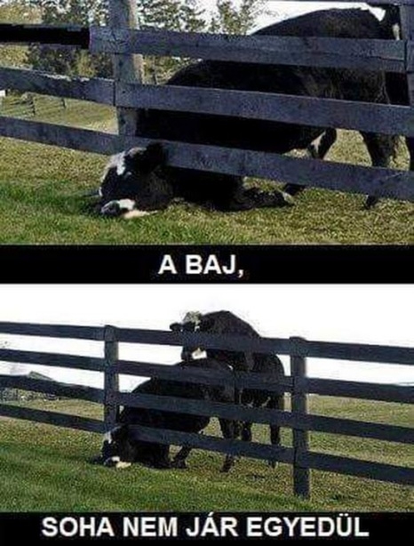 A baj nem jár egyedül 